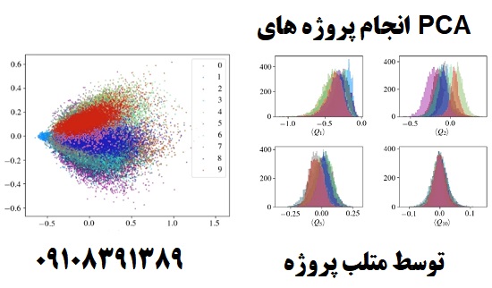 انجام پروژه های PCA